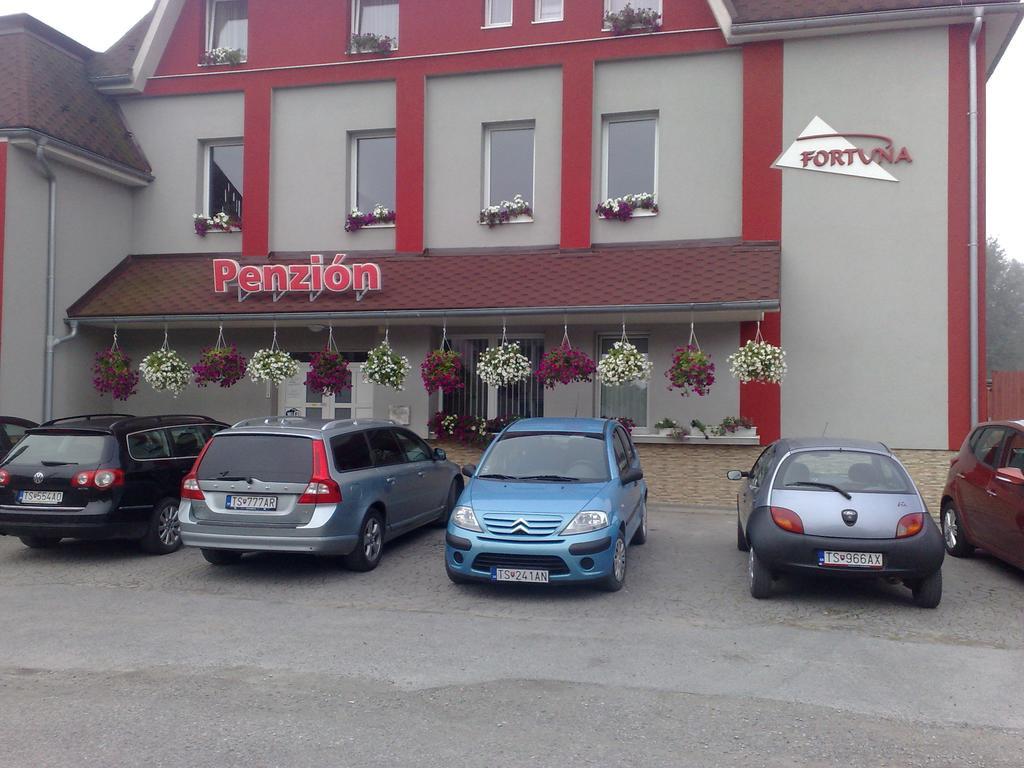 Guest House Penzion Fortuna Тврдошин Экстерьер фото